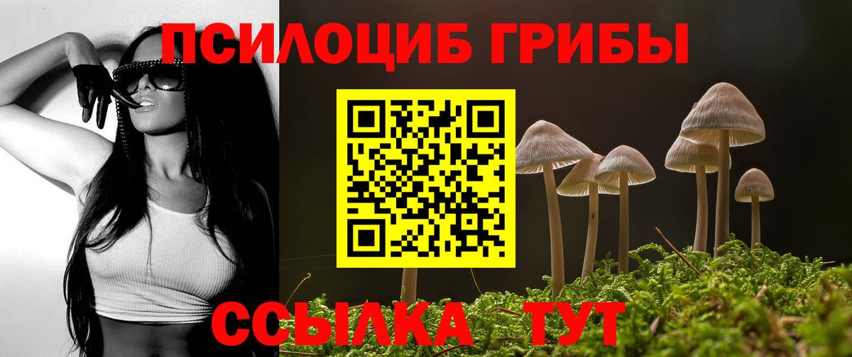 Псилоцибиновые грибы Psilocybine cubensis  Вход с VPN  Галлюциногенные грибы мухоморы  Волжск 
