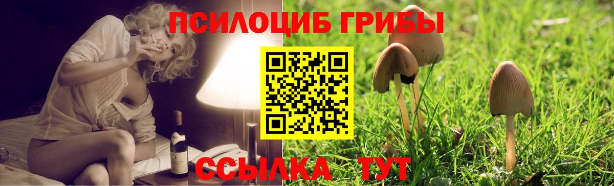 Галлюциногенные грибы Cubensis Волжск